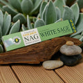 Golden Nag Californian White Sage