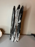 Orthoceras Tower