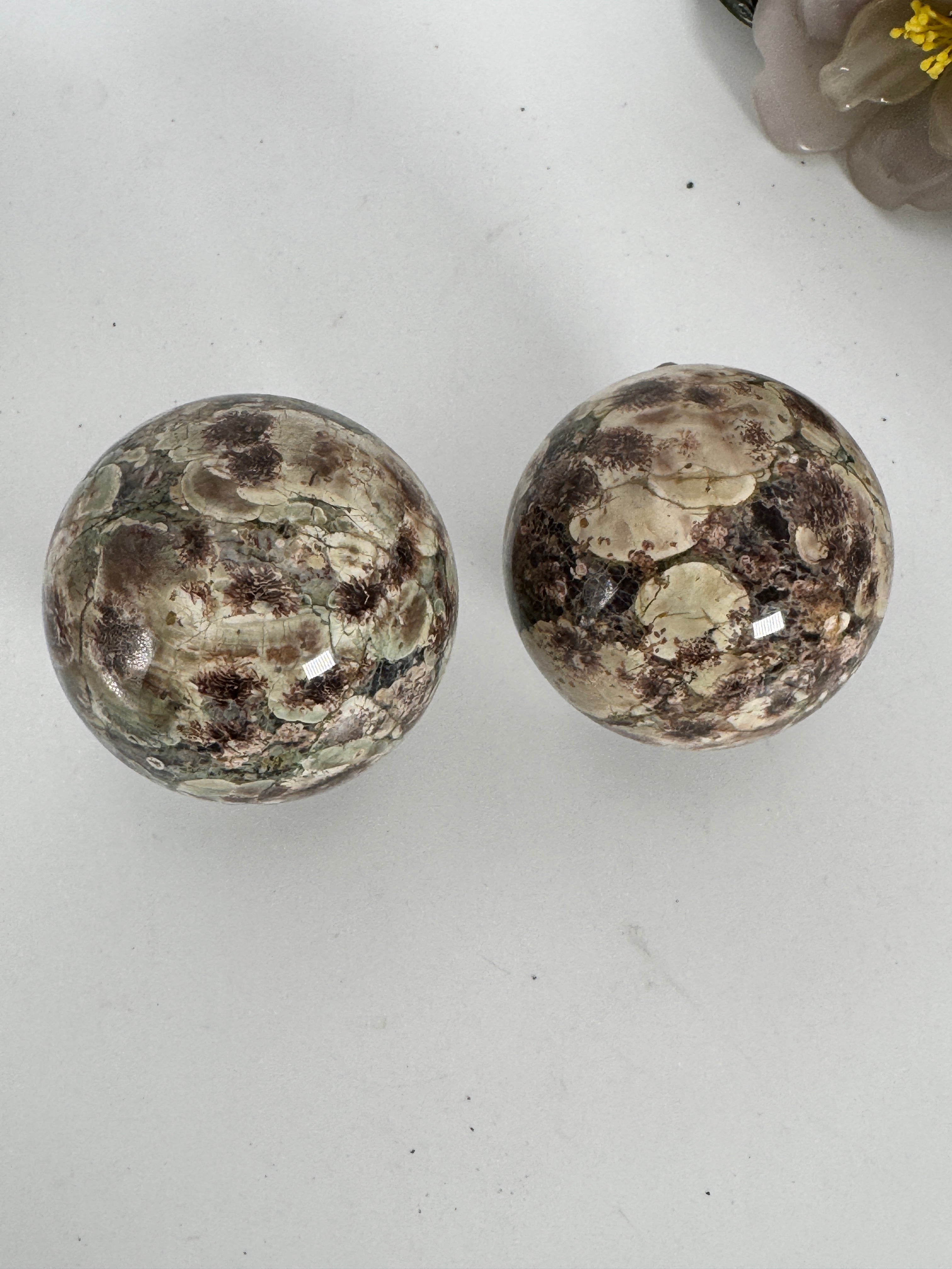 Green Flower Jasper Spheres  (Rhyolite)