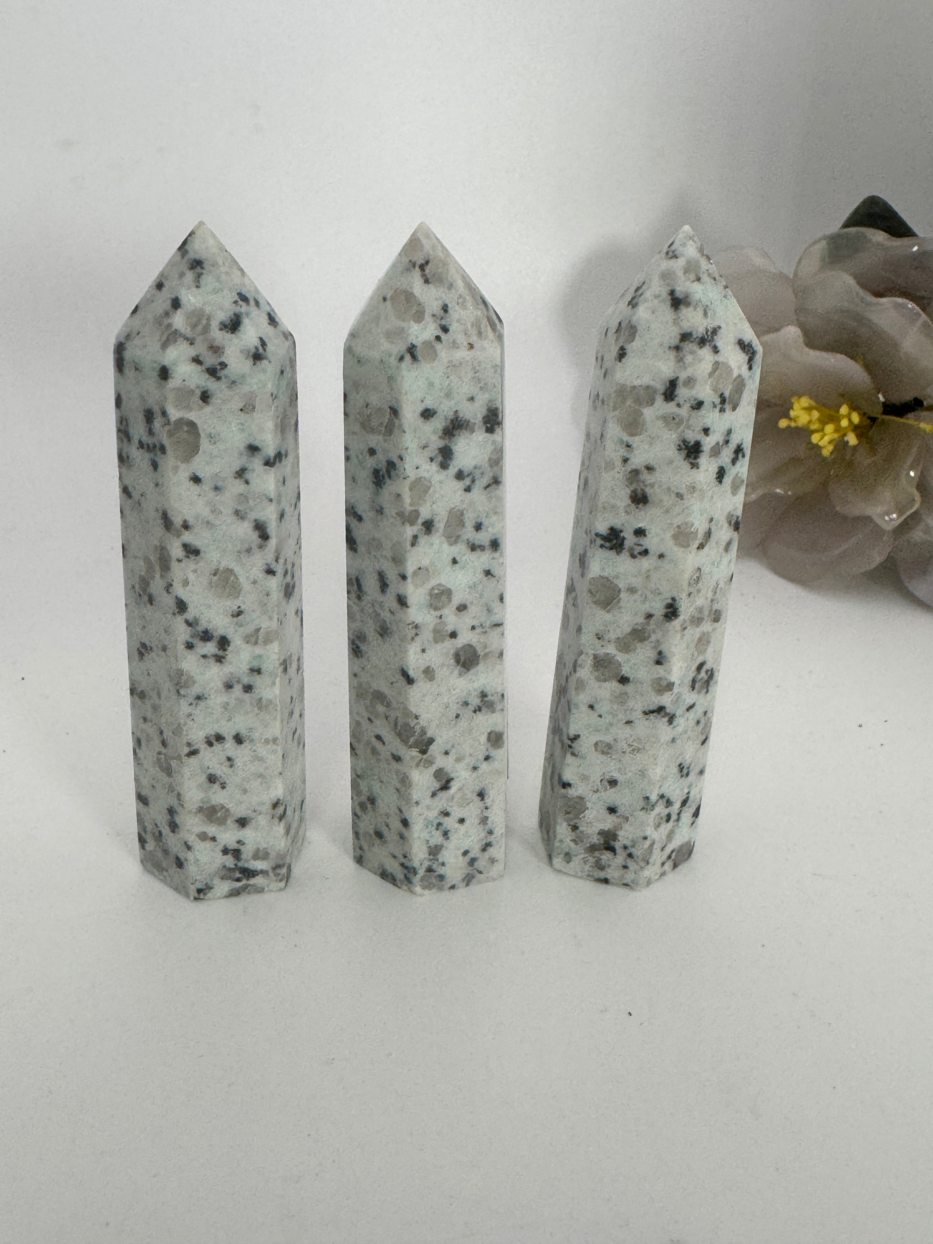 Kiwi Jasper Points