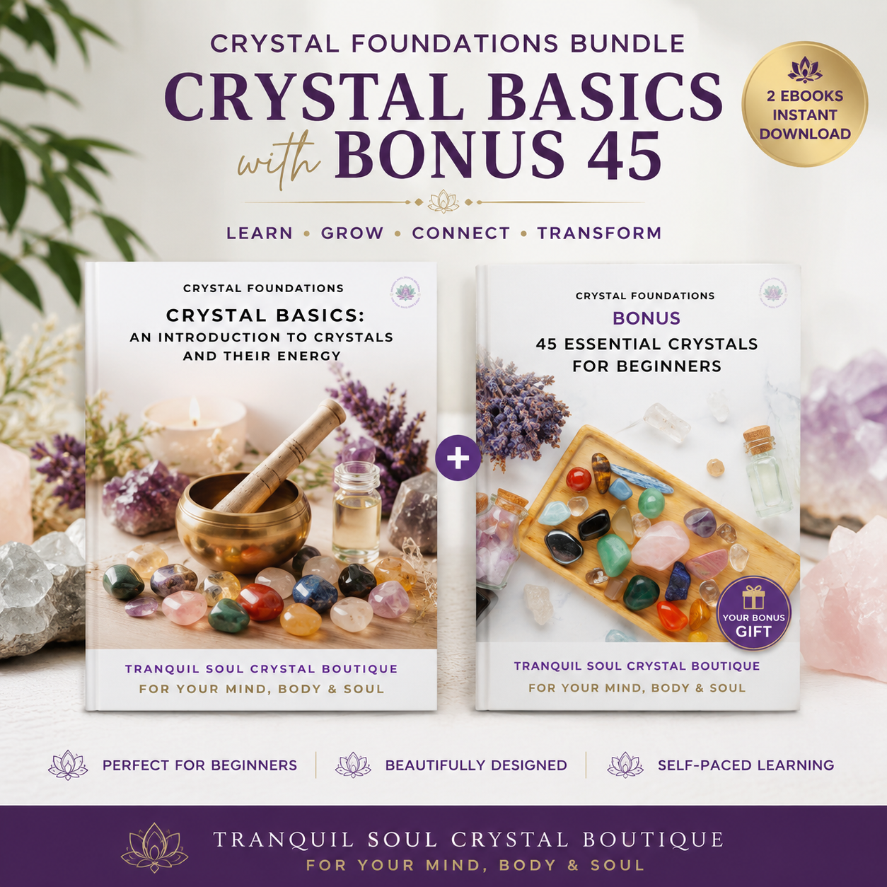 Crystal Basics with Bonus 45 Essential Crystals for Beginners eBook bundle